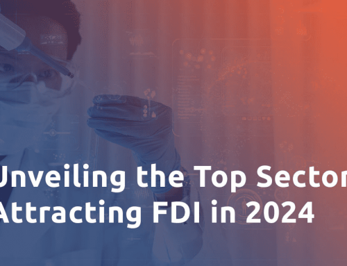 Unveiling the Top Sectors Attracting FDI in 2024 